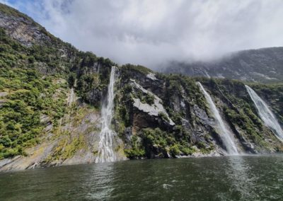 2_Neuseeland_Fjordland Nationalpark